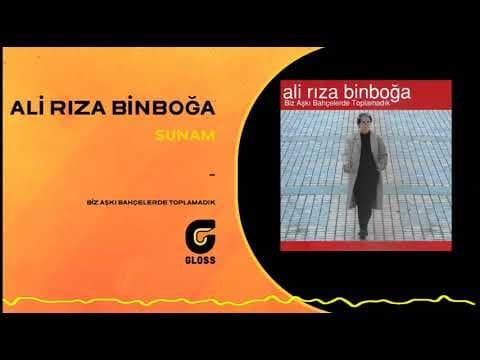 Ali Rıza Binboğa - Biz Aşkı Bahçelerde Toplamadık (2010)