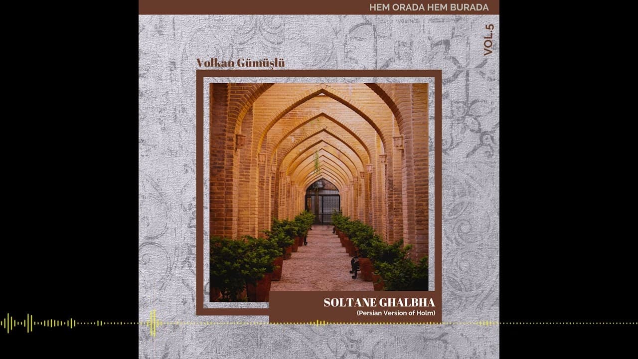 Various Artists - Hem Orada Hem Burada Vol.5 (2024)
