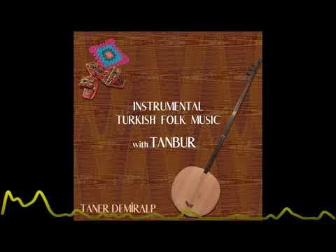 Taner Demiralp - Instrumental Turkish Folk Music with Tanbur (2022)