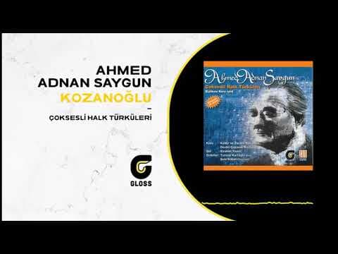 Ahmed Adnan Saygun - Çoksesli Halk Türküleri (2009)