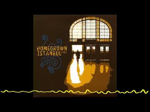 Various Artists - Homegrown Istanbul, Vol.2 (2008)